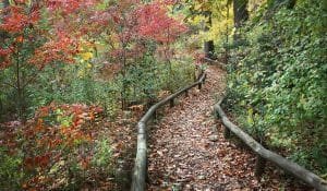garden path