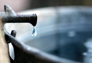 Dripping Maple Goodness Rainwater Harvesting