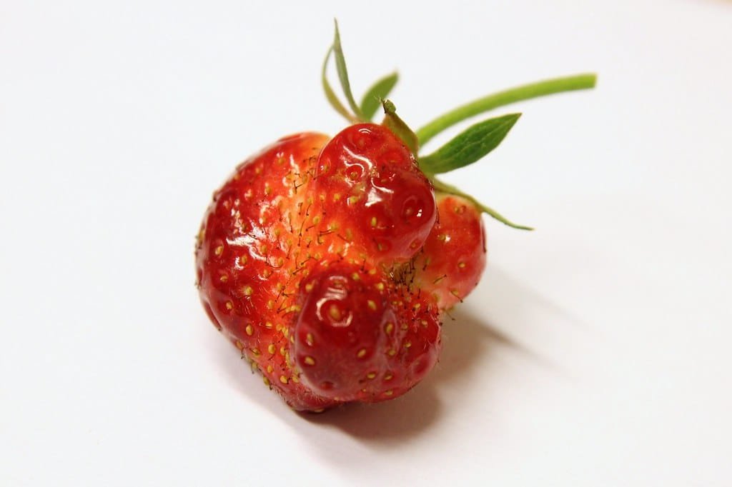 10 Easy Ways to Reduce Food Waste
