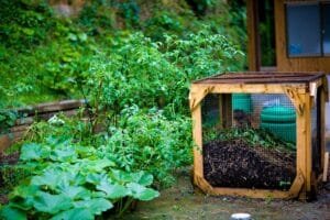 Garden and compost Urban Composting: A Conversation & Beginner’s Guide
