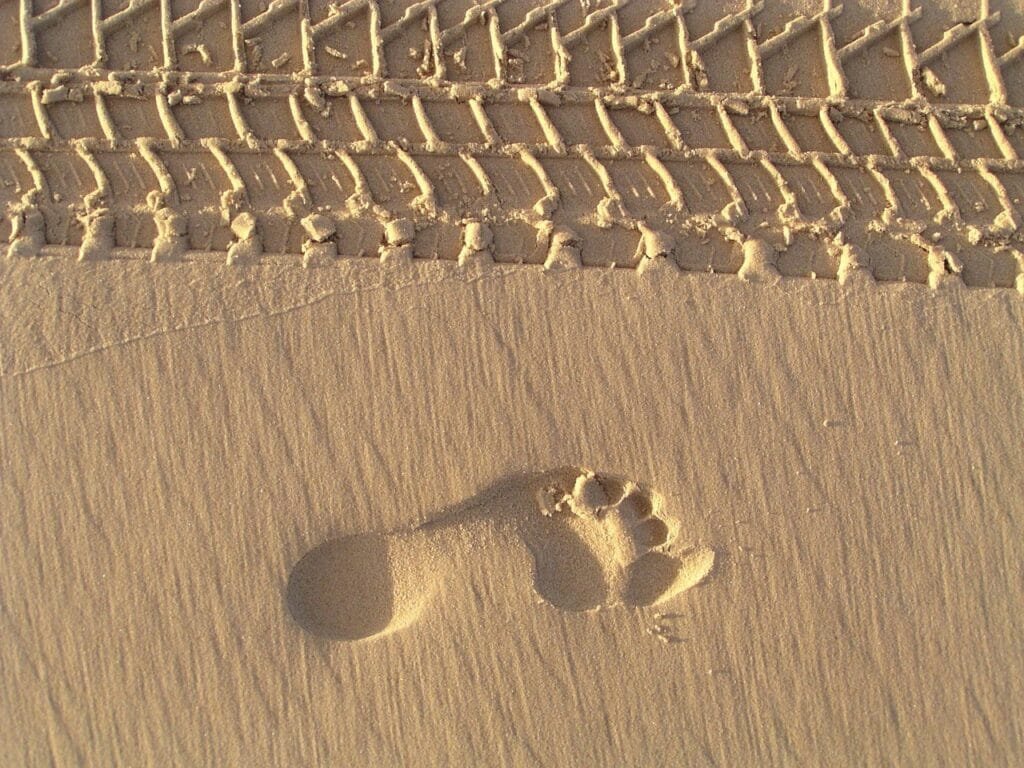 Photo by MemoryCatcher climate related terms carbon footprint, footprints, sand, beach, barefeet, barefoot, foot, footstep, human, vehicle, traction, nature, pristine
