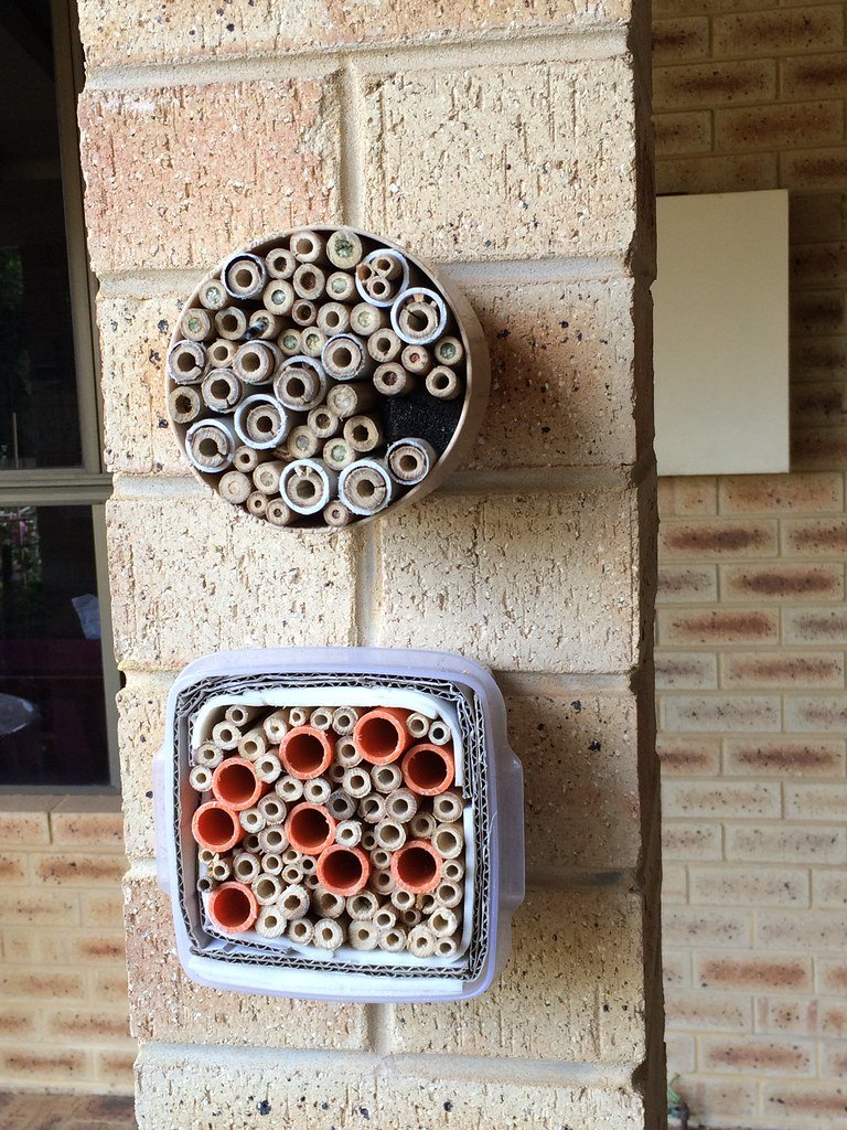 Bee hotels