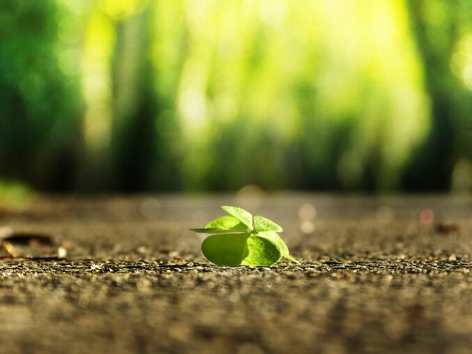 Climate Optimism: A Mindset Shift That Matters