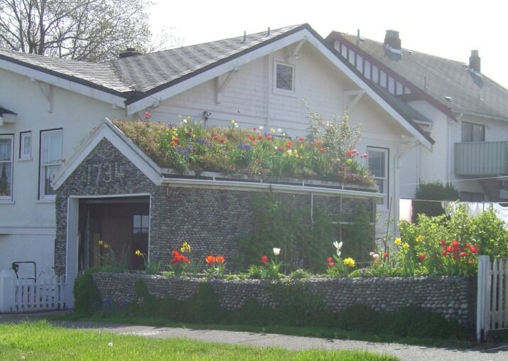 DIY Green Roofs – Step-by-Step Primer