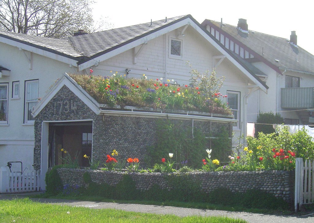 DIY Green Roofs - Step-by-Step Primer